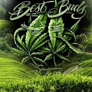 Meet your Posher, Johnny